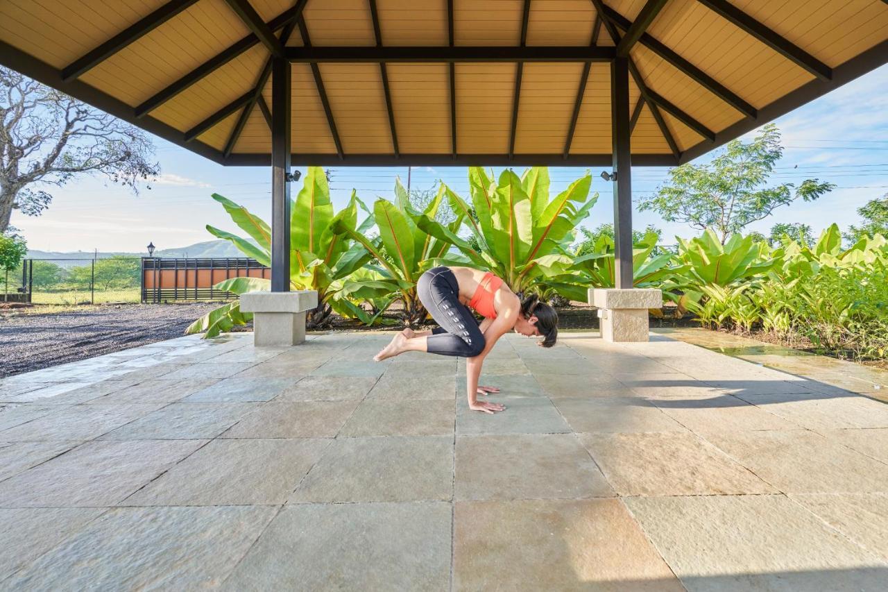 נאסיק Viveda Wellness Resort מראה חיצוני תמונה